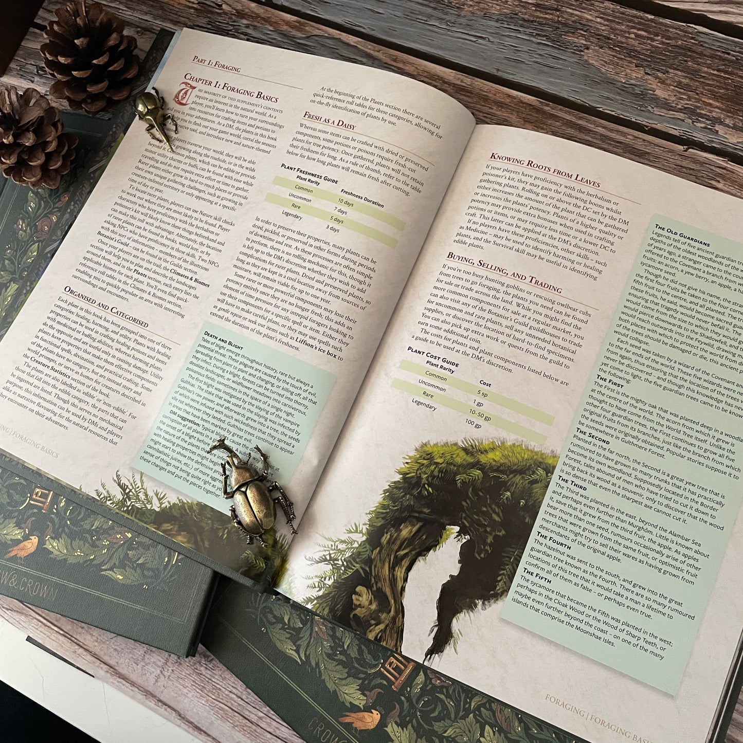 Herbarium: A Botanical 5e Supplement